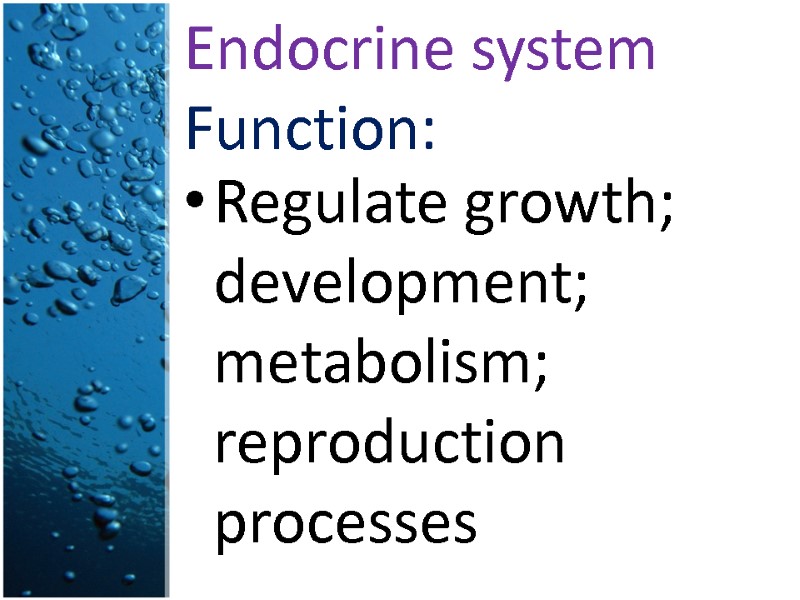 Endocrine system Function: Regulate growth; development; metabolism; reproduction processes